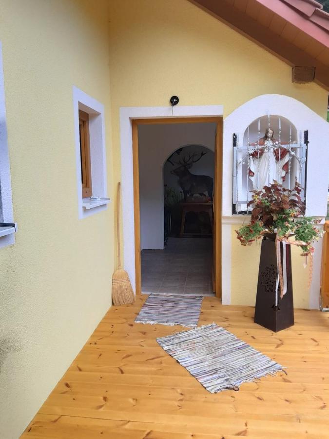 Ferienwohnung Anika Kleinlobming Exterior foto
